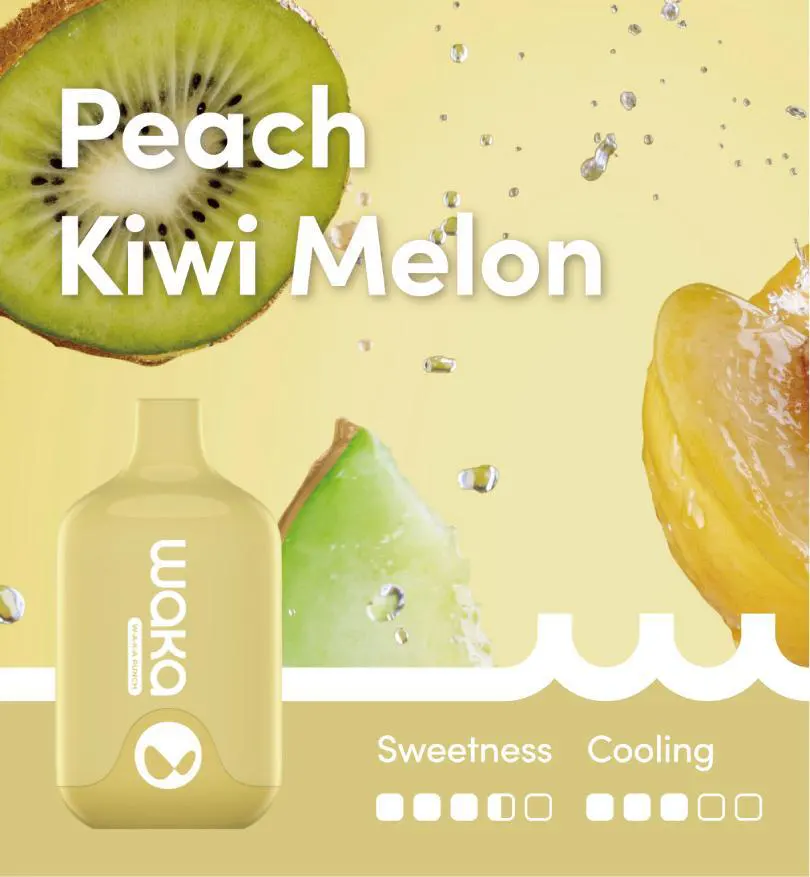 WAKA SMASH PEACH KIWI MELON - 6000 PUFFS